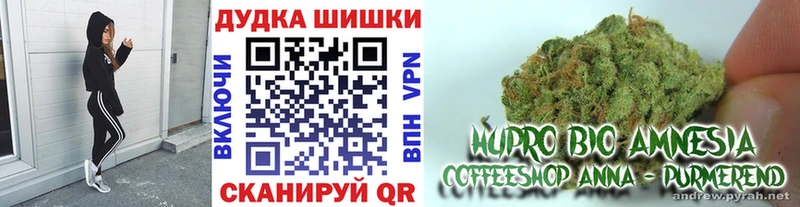 Каннабис гибрид  Купить где  Фрязино 